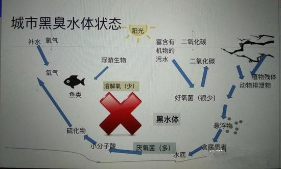 江蘇億元投資治污新技術(shù) 石墨烯能否治理黑臭水體？
