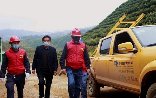平塘供電局：“加減法”同構(gòu)服務(wù)，護(hù)航“貴州春茶第一壺”