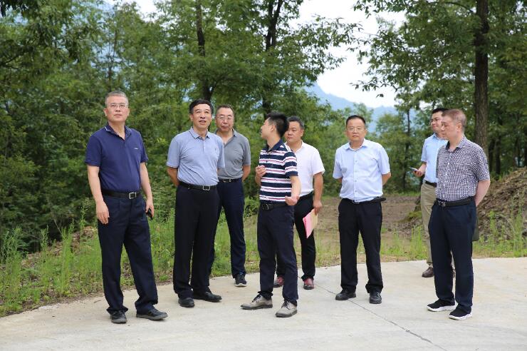 中國能建總經(jīng)理、黨委副書記孫洪水一行赴陜西鎮(zhèn)巴縣調(diào)研定點(diǎn)扶貧工作
