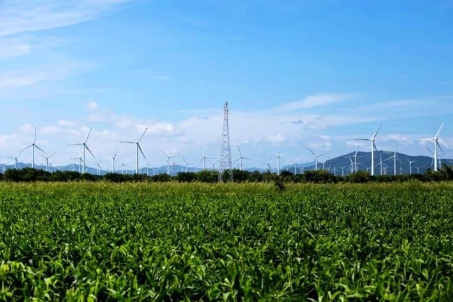 收購墨西哥818MW光伏電站，國家電投境外光伏電站裝機(jī)超6GW