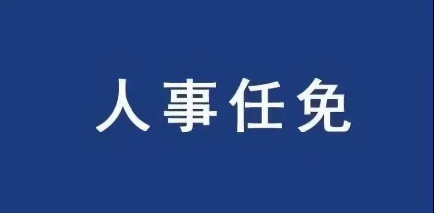 重磅！張智剛?cè)螄?guó)家電網(wǎng)總經(jīng)理、黨組副書記，韓君出任三峽集團(tuán)總經(jīng)理