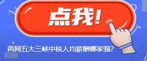 國網(wǎng)南網(wǎng)華能大唐國家能源三峽中核人均薪酬哪家強？