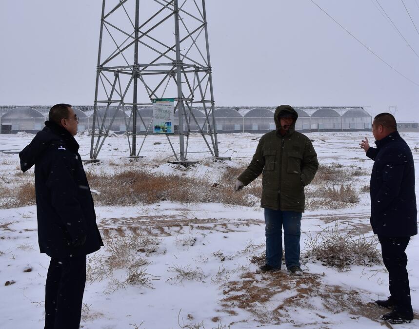 二連浩特供電公司：開展客戶側(cè)安全檢查，確?？诎犊蛻粝楹兔髁吝^春節(jié)
