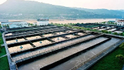 不用燒、不用填 生物處理技術(shù)出手，垃圾成資源