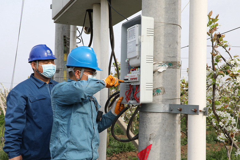 國(guó)網(wǎng)諸城市供電公司電力足，千畝梨園花正濃