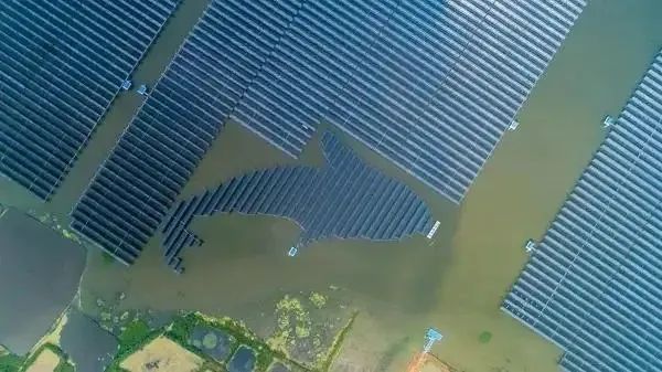 泗洪1000MW光伏領跑者項目被勒令拆除整改！