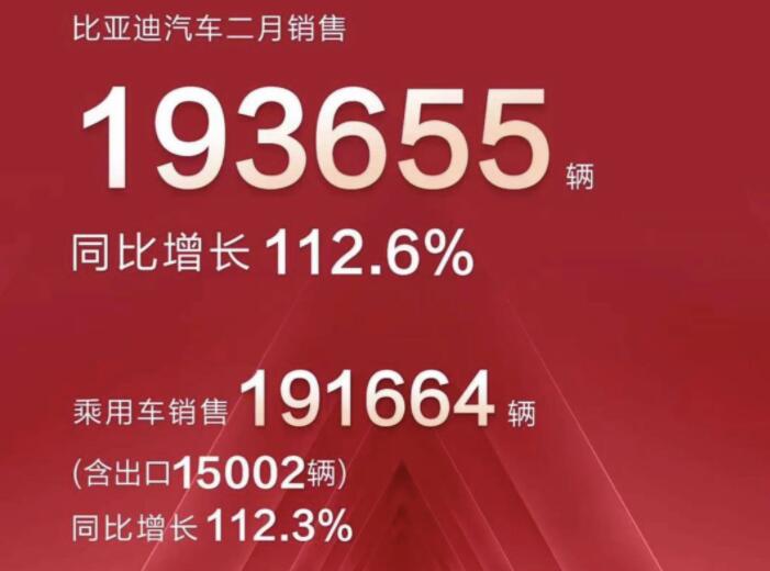 2月新能源車企成績單出爐，比亞迪一騎絕塵