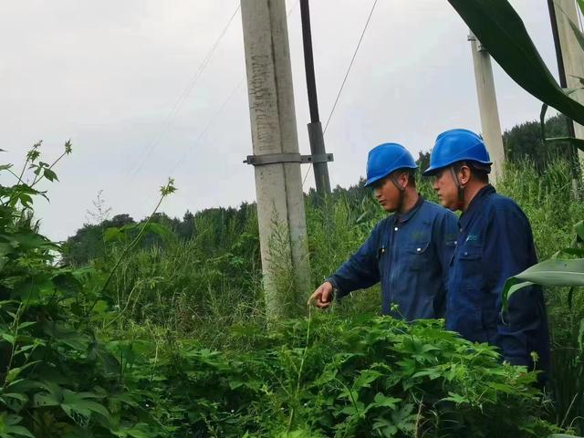 國網(wǎng)長春供電公司積極應(yīng)對極端天氣，確保線路設(shè)備穩(wěn)定運(yùn)行